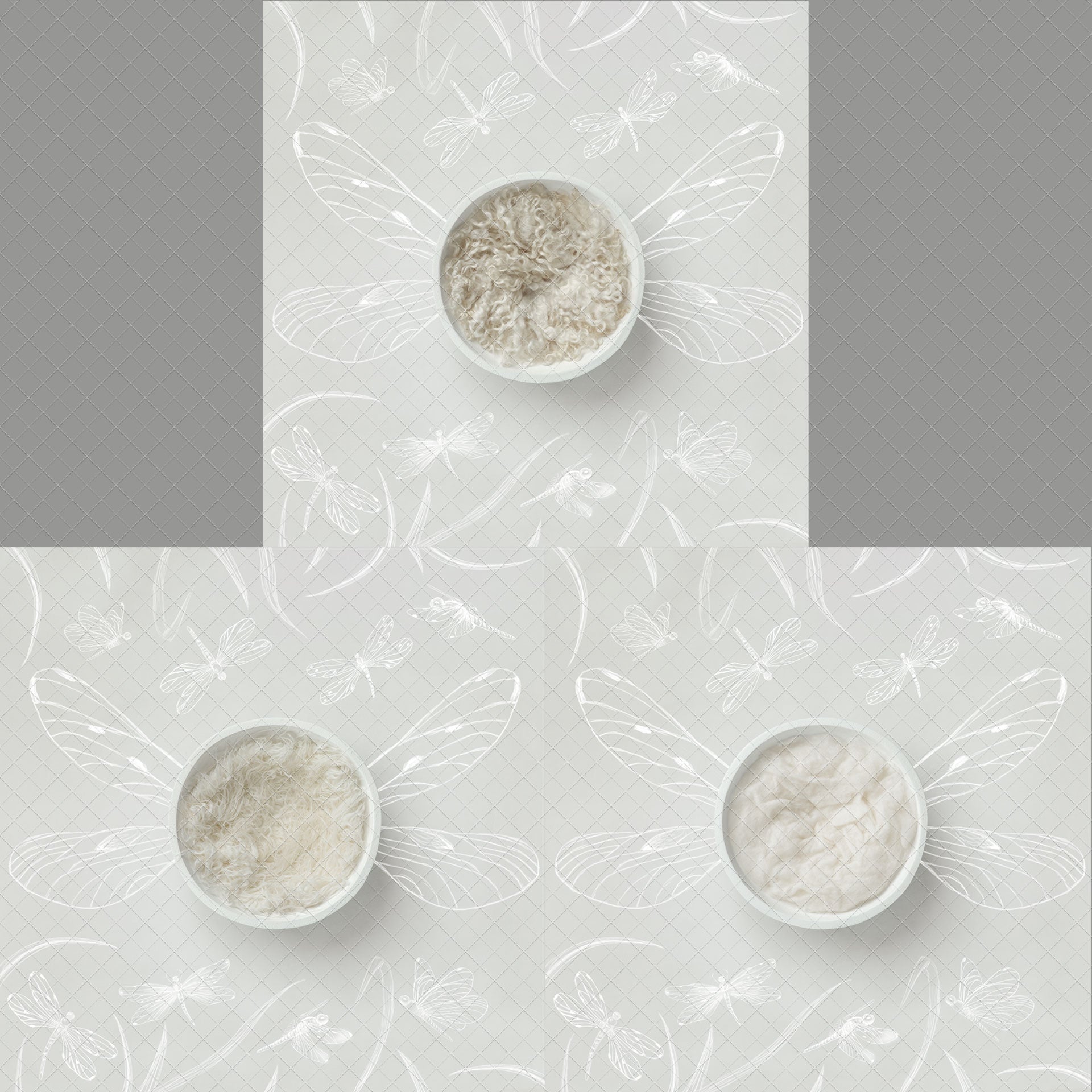 Digital Backdrop
