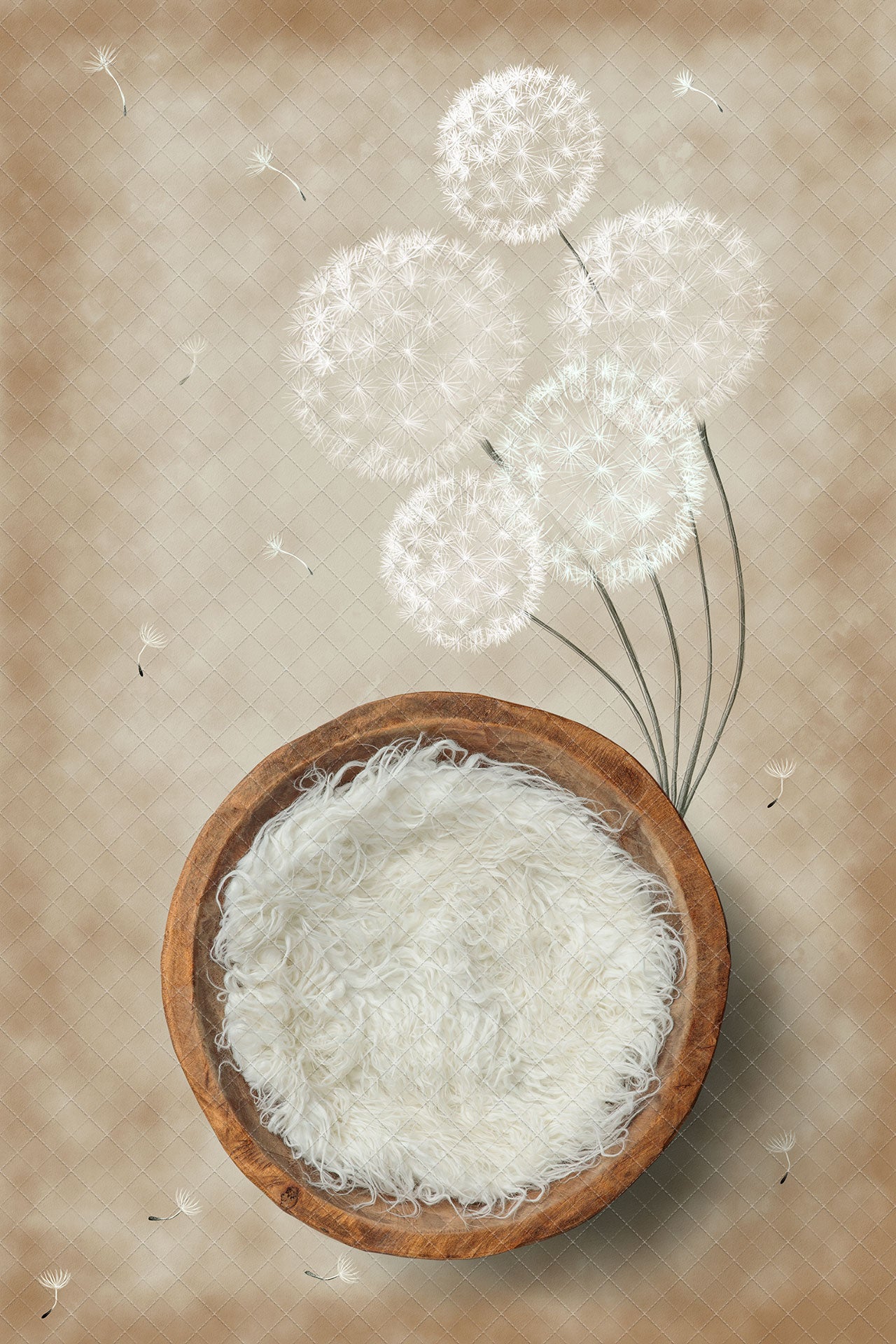 Digital Backdrop