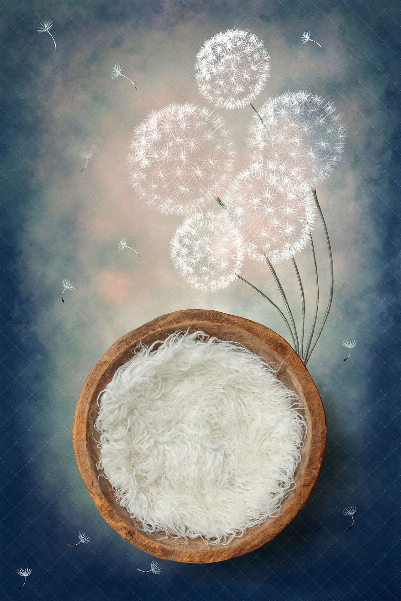 Digital Backdrop