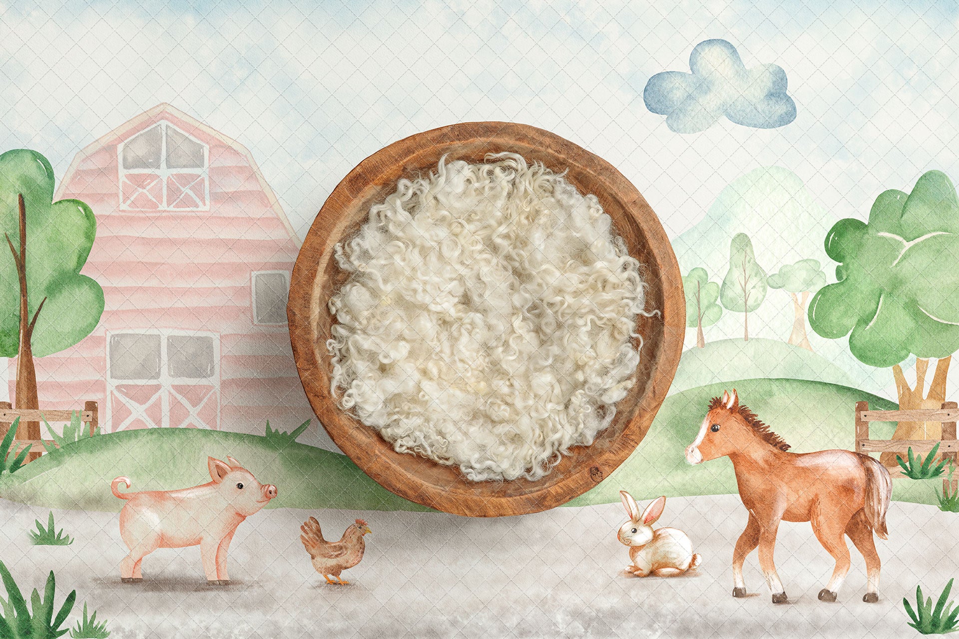 Digital Backdrop