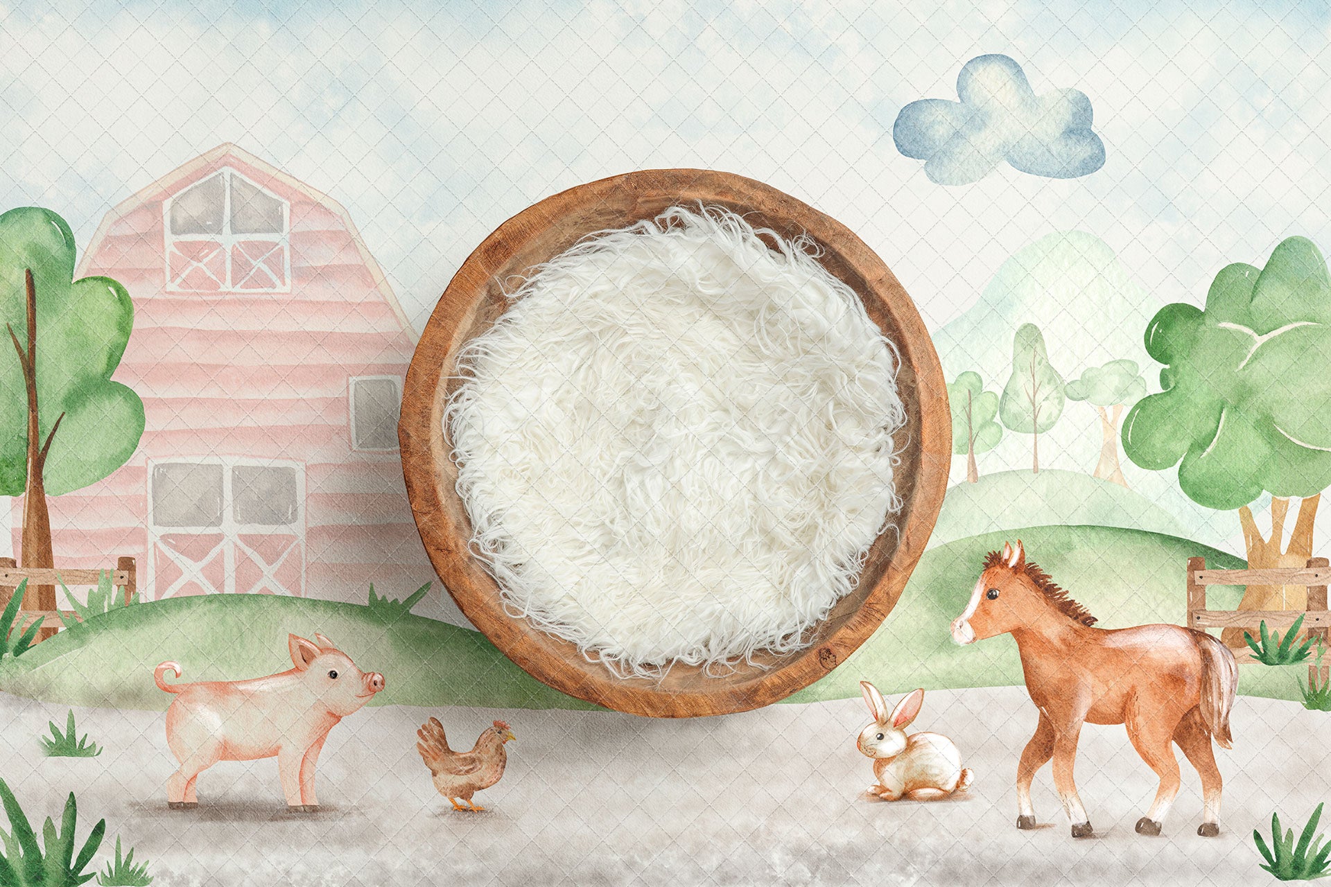 Digital Backdrop