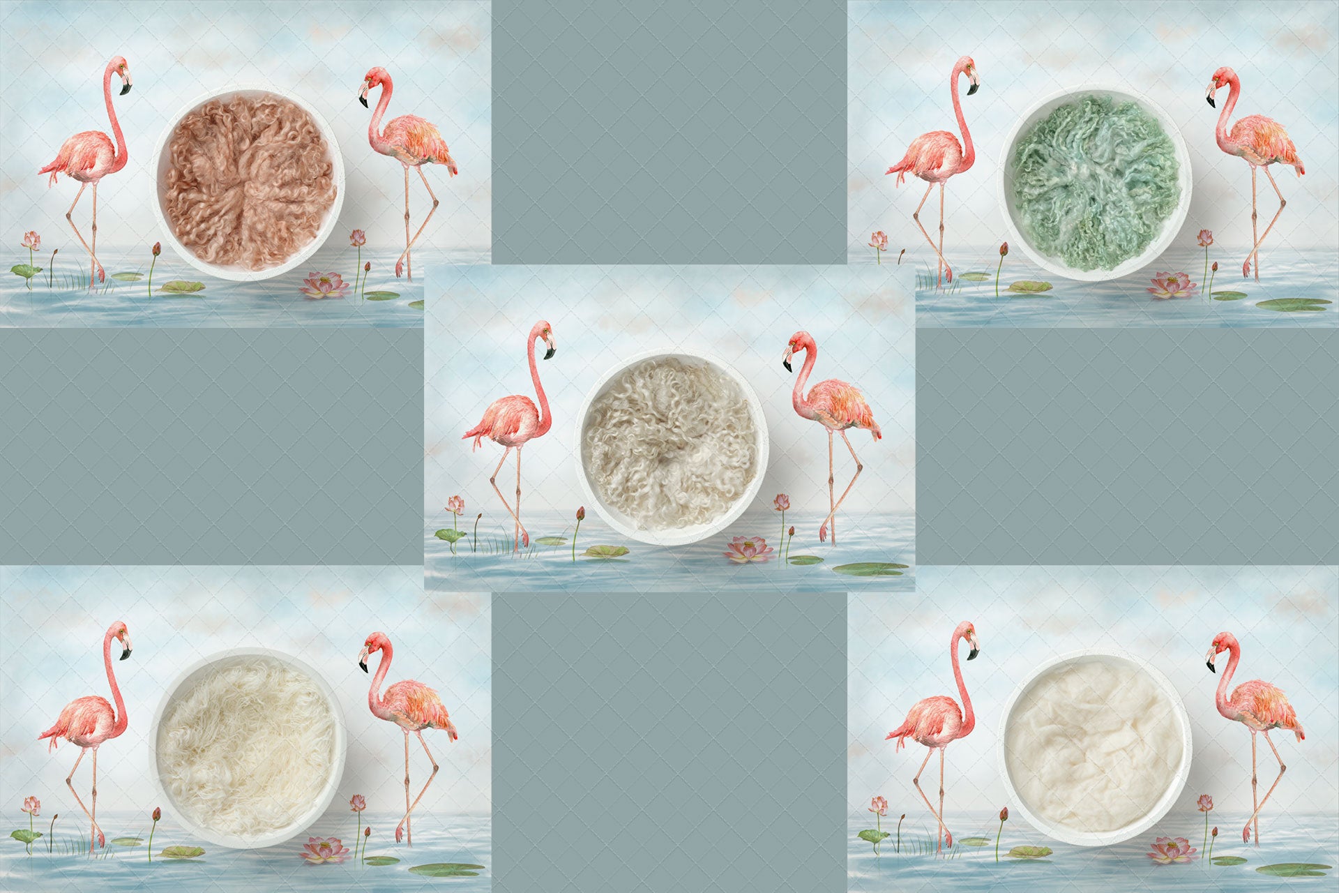 Digital Backdrop
