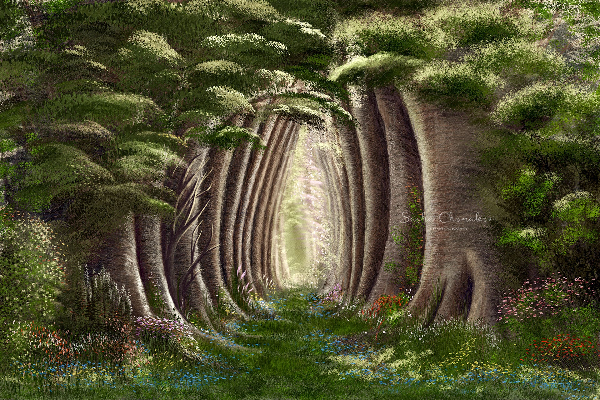 Digital Backdrop