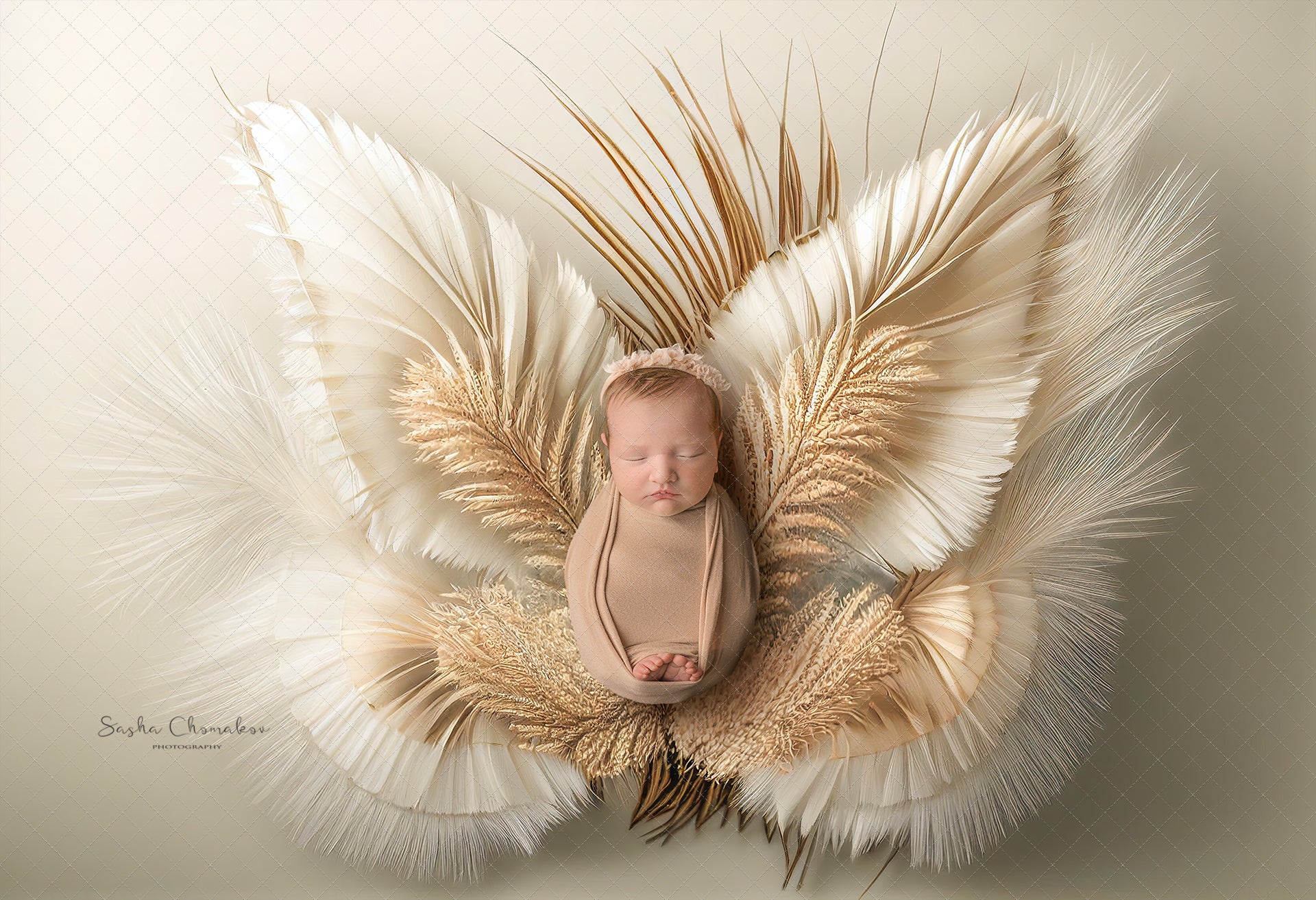 Backdrop butterflies grass boho butterflies Ai generated