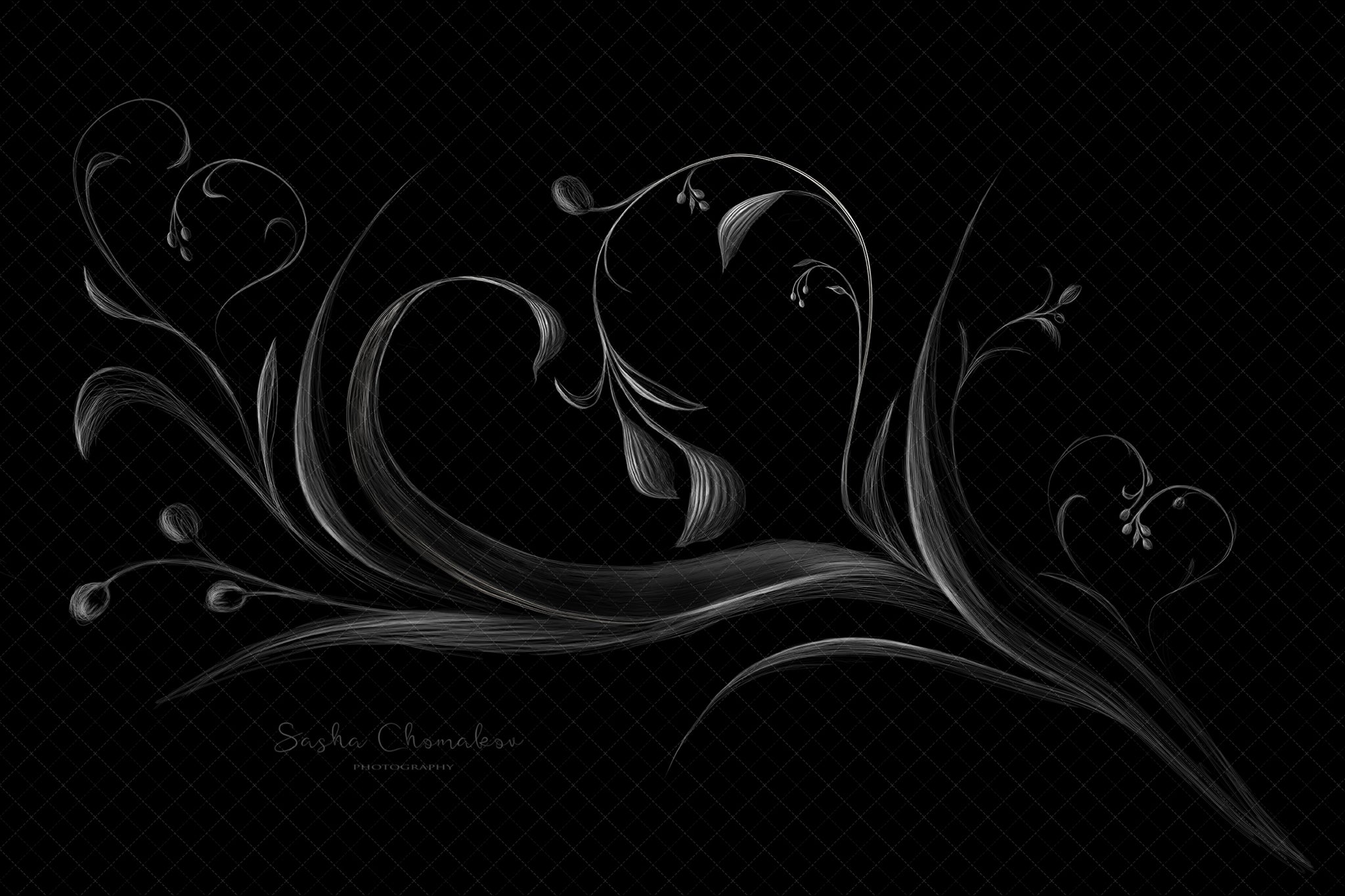 Digital Backdrop