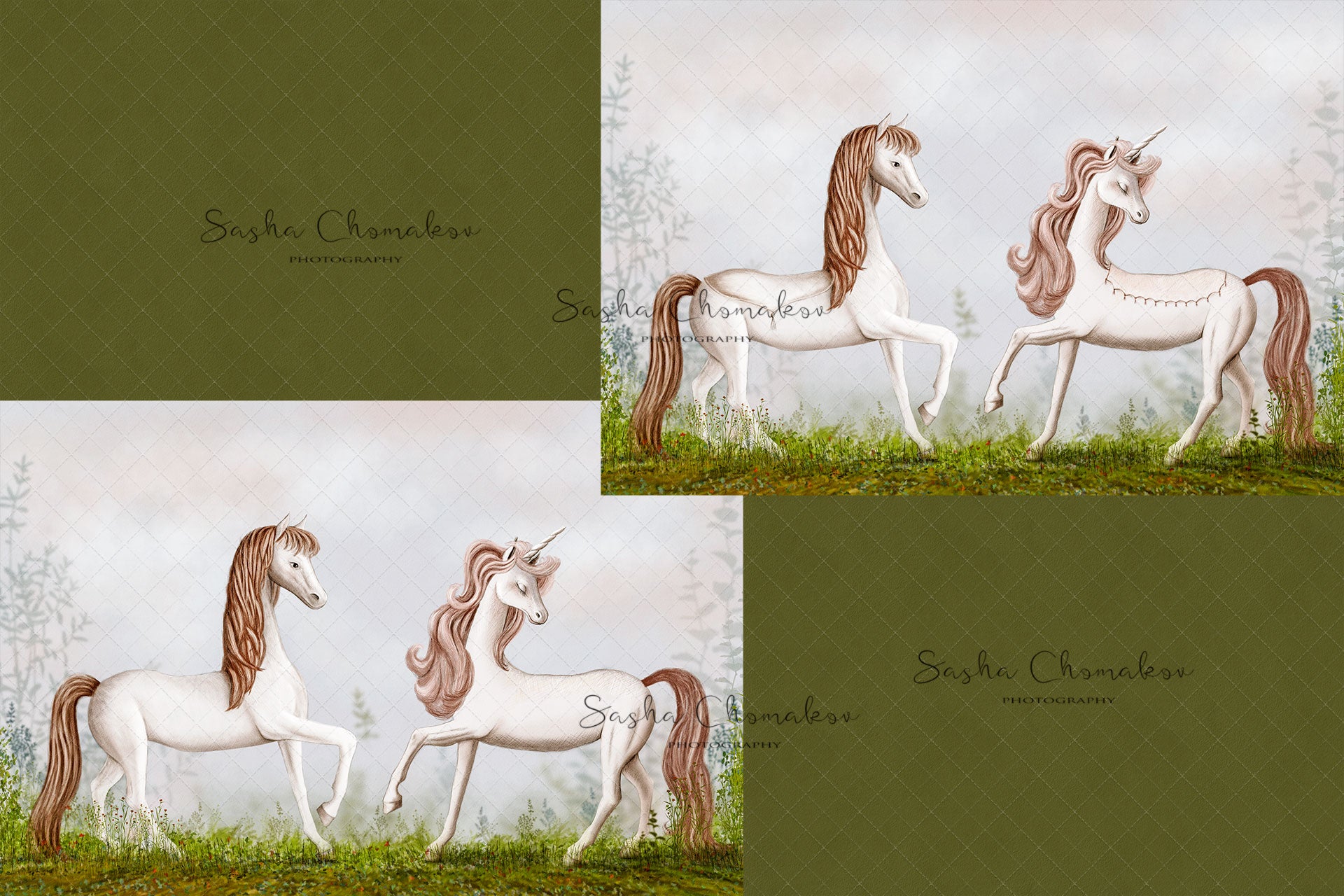 Digital Backdrop
