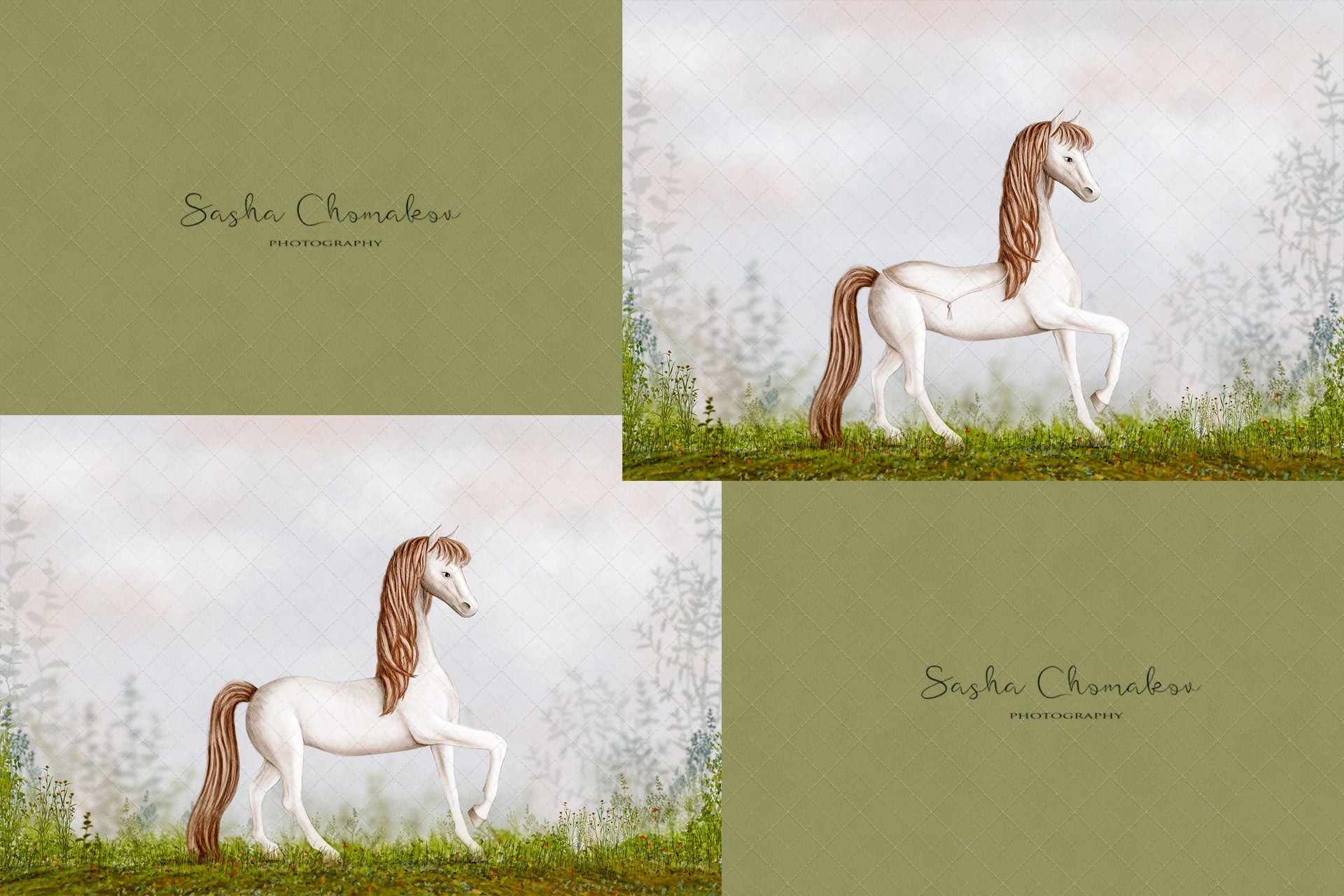 Digital Backdrop