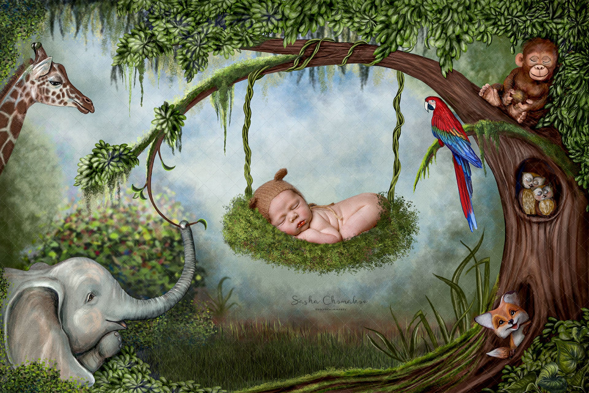 Digital Backdrop