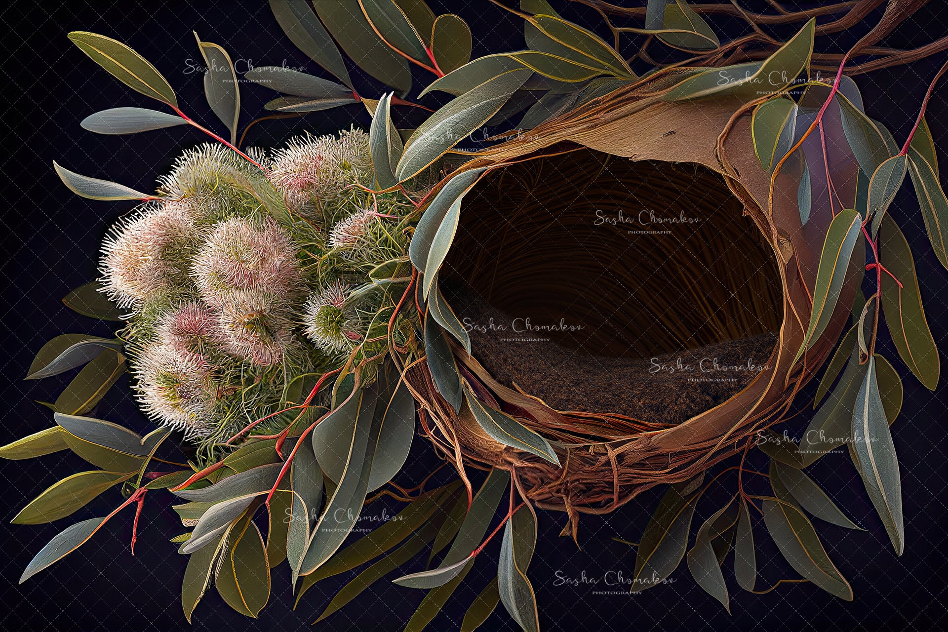 Digital Backdrop Ai generated and hand painting
