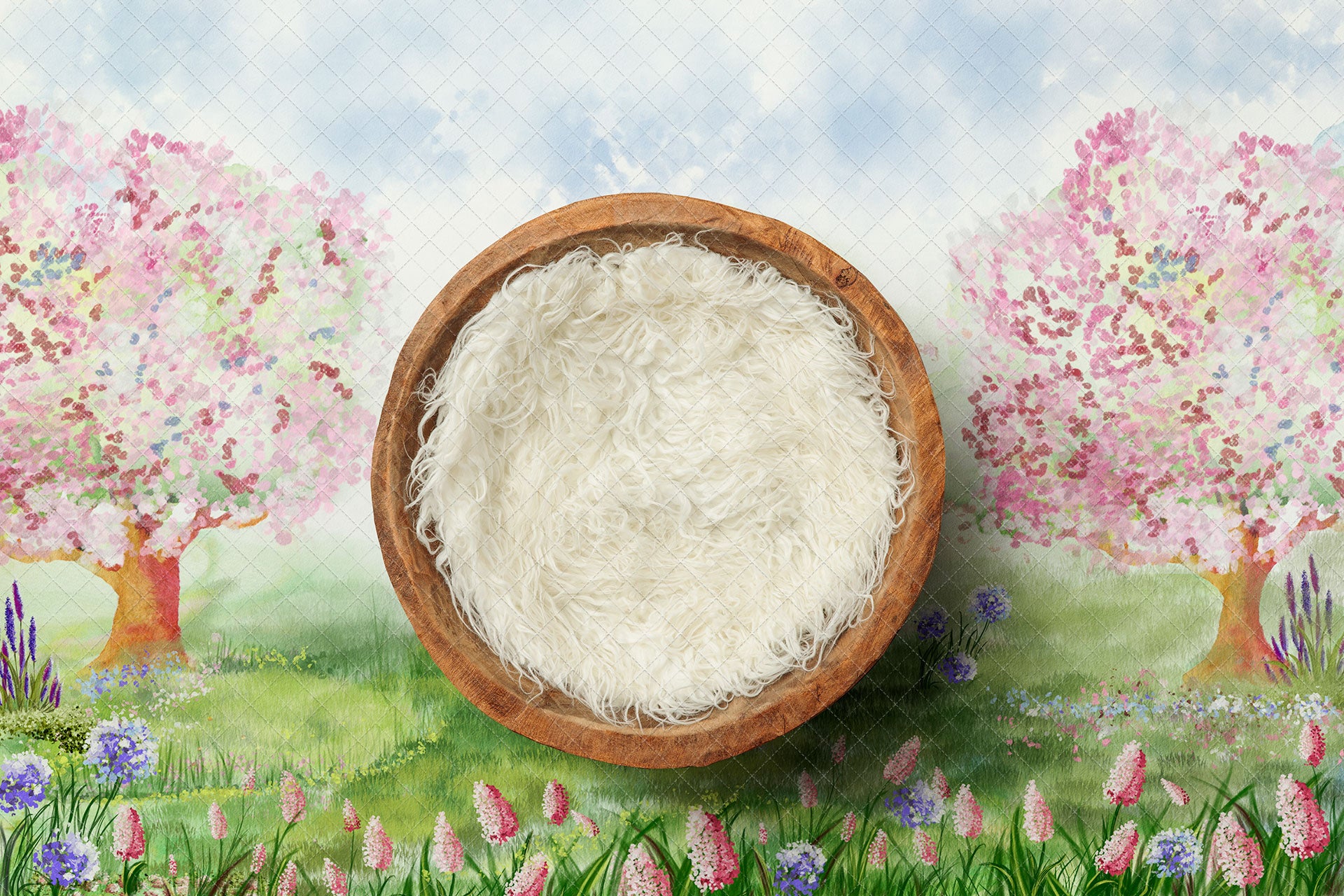 Digital Backdrop
