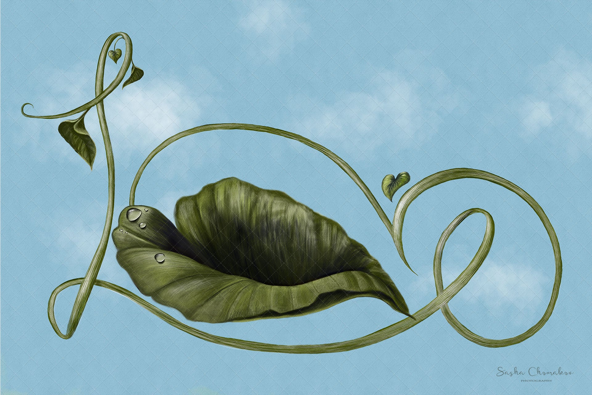 Digital Backdrop