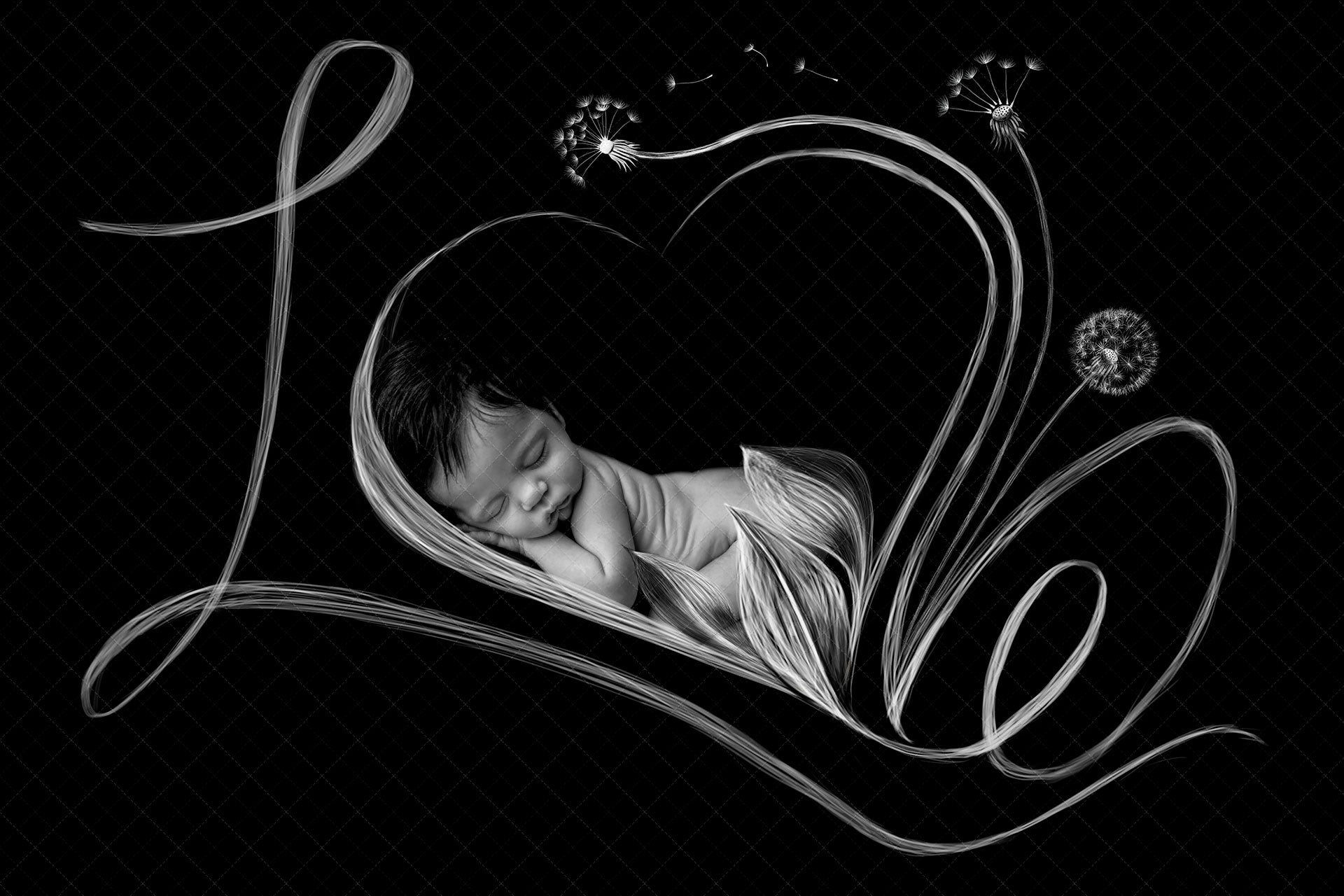 Digital Backdrop