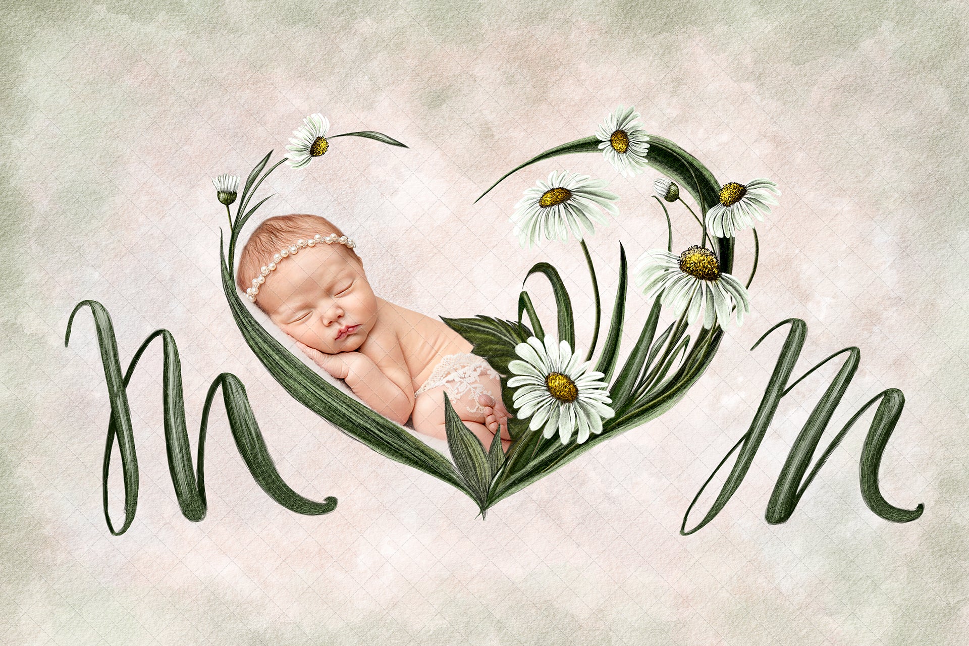 Digital Backdrop