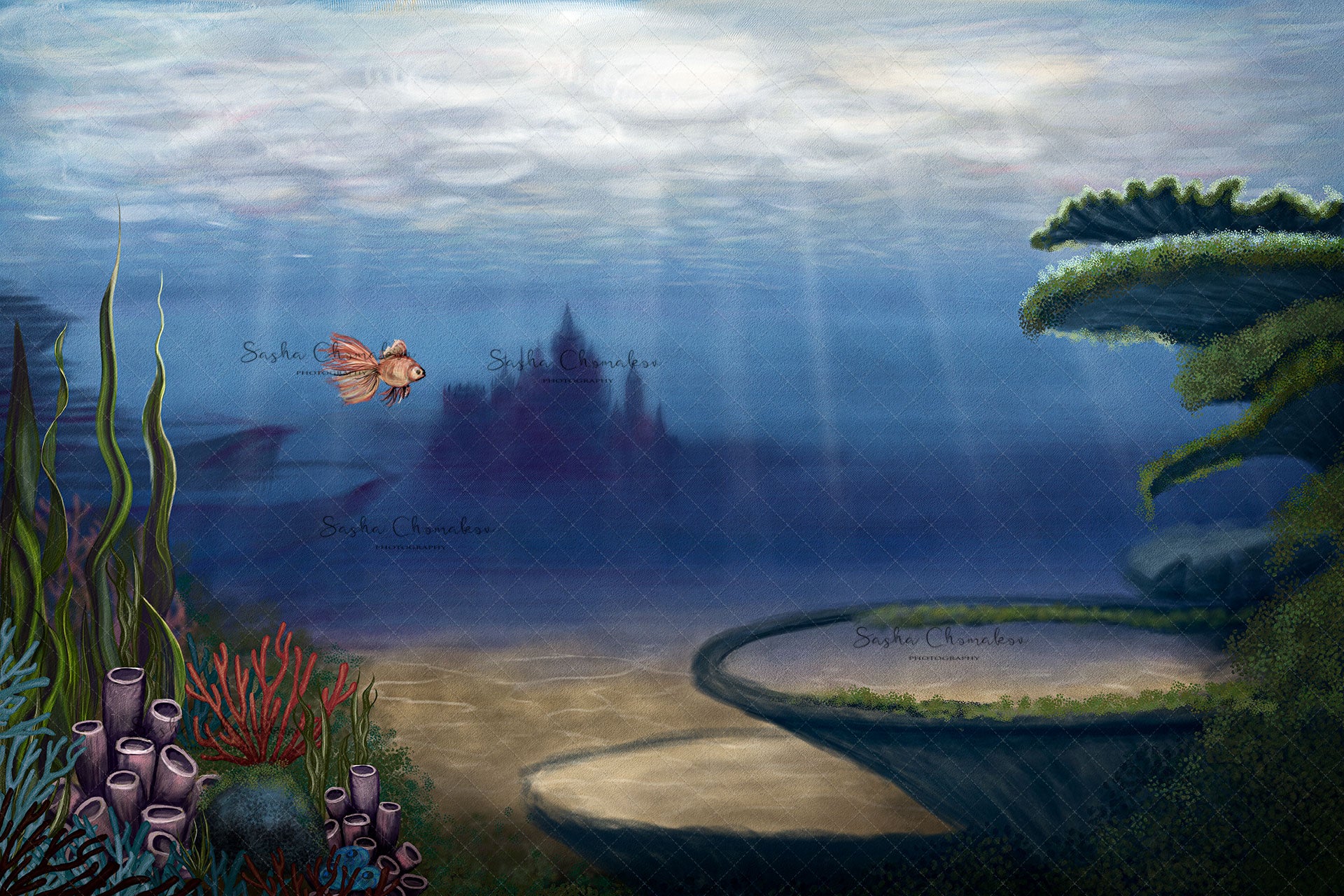 Digital Backdrop