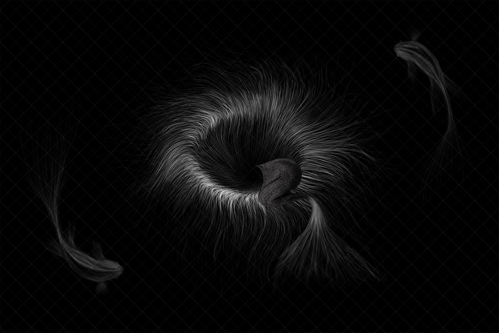 Digital Backdrop