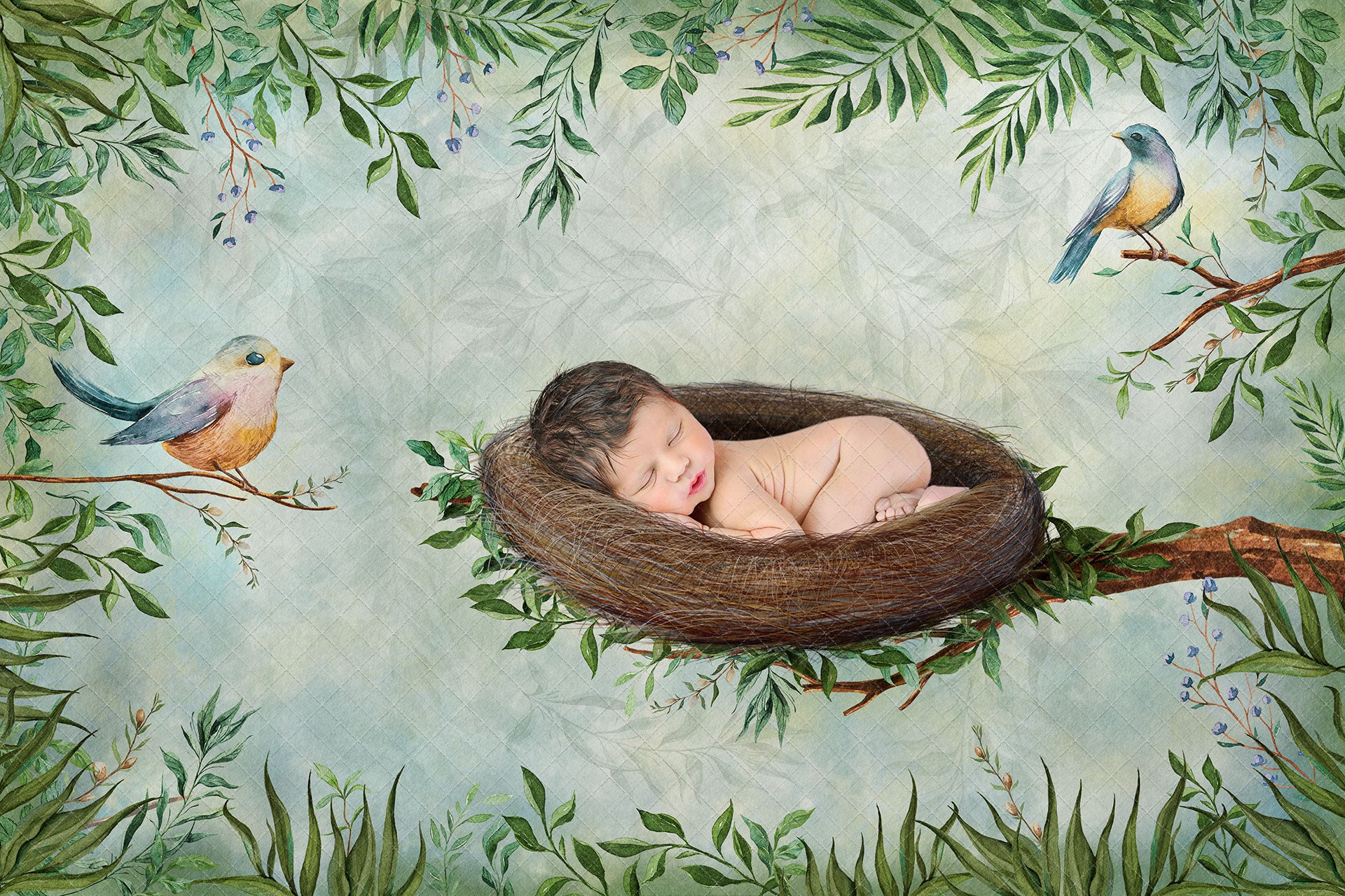 Digital Backdrop