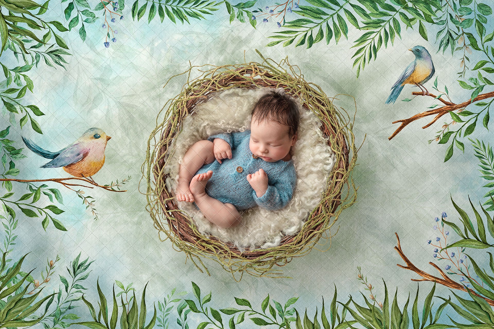 Digital Backdrop