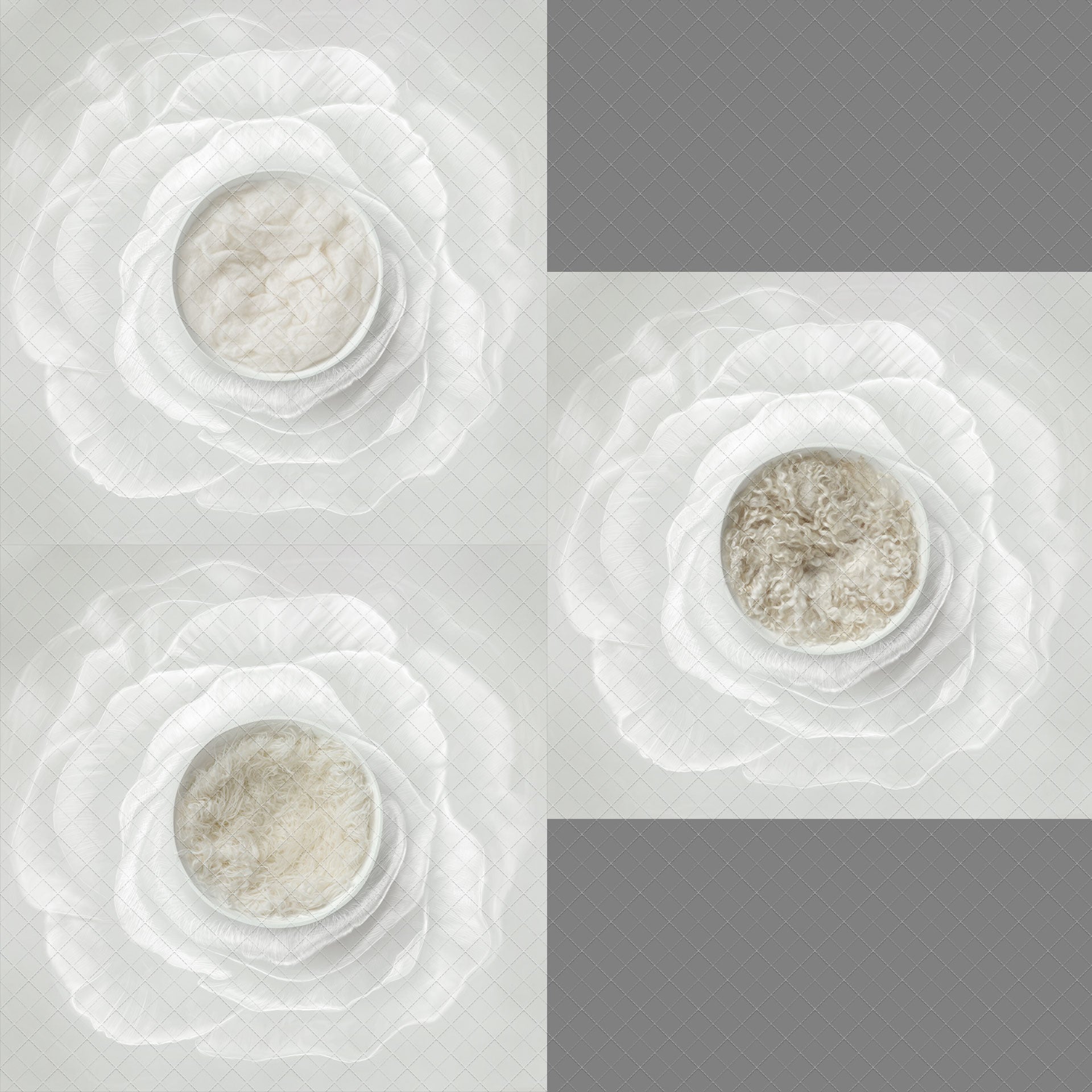 Digital Backdrop