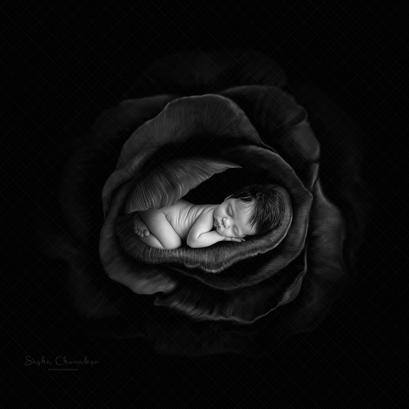 Digital Backdrop