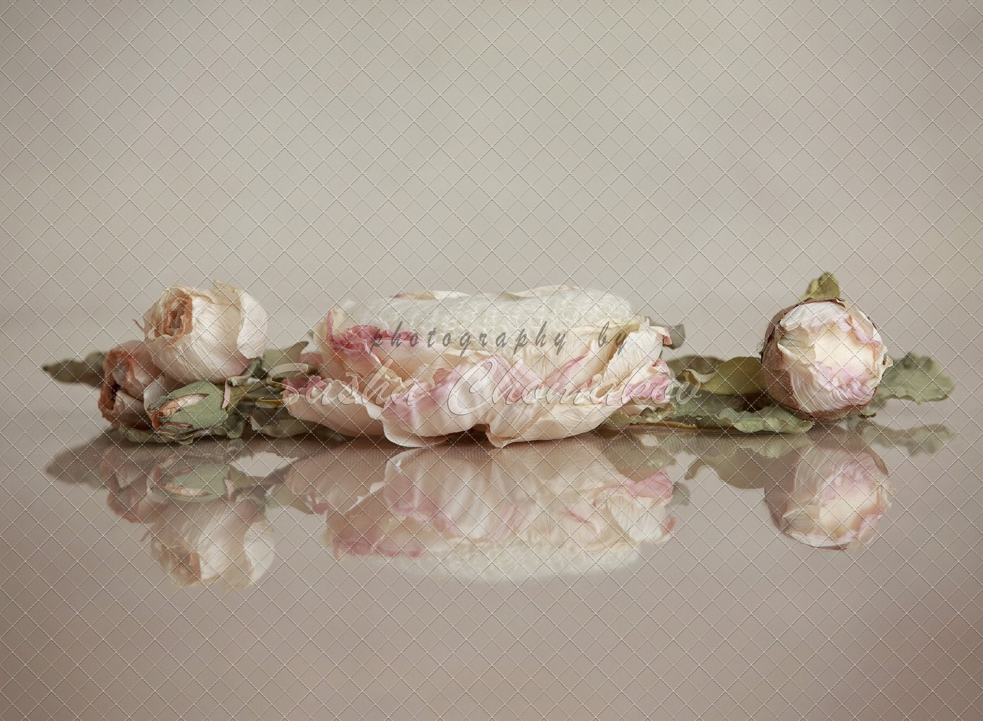Digital Backdrop