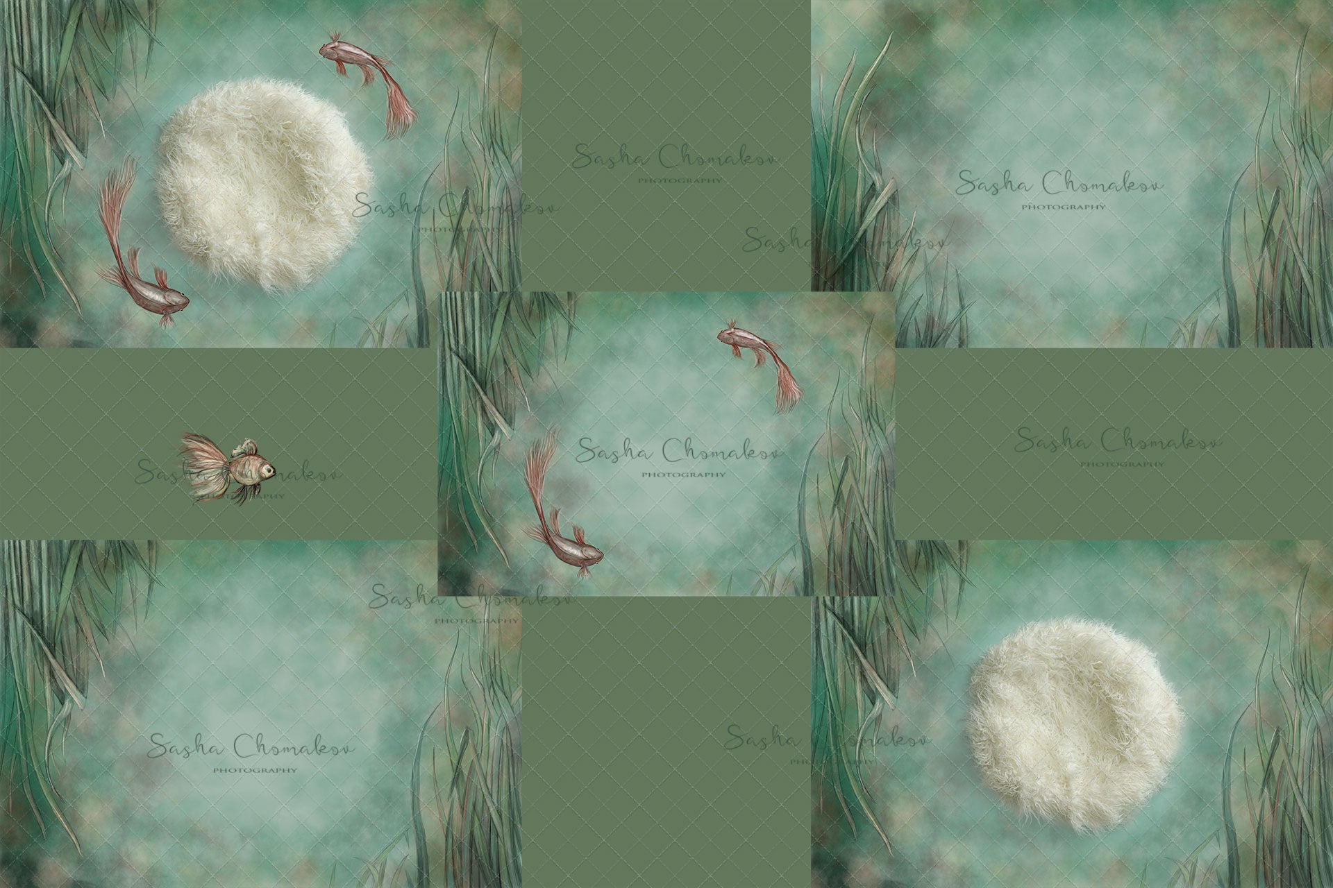 Digital Backdrop
