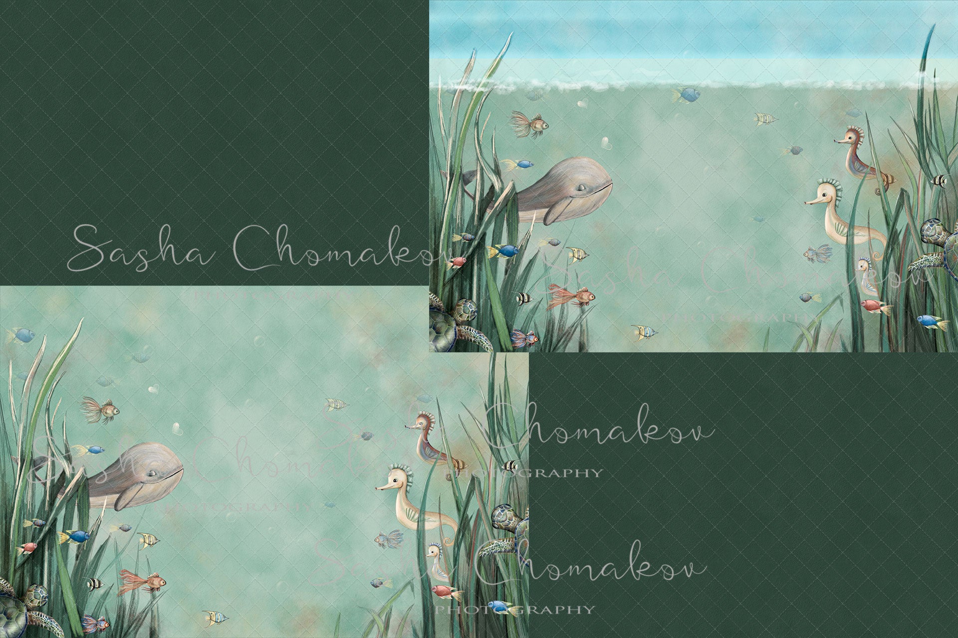 Digital Backdrop