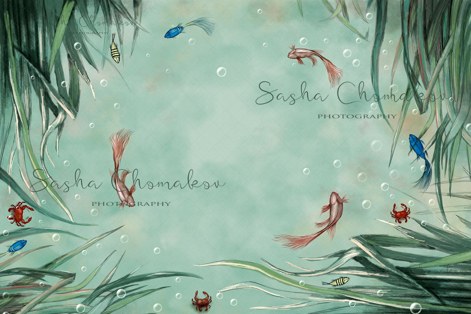 Digital Backdrop