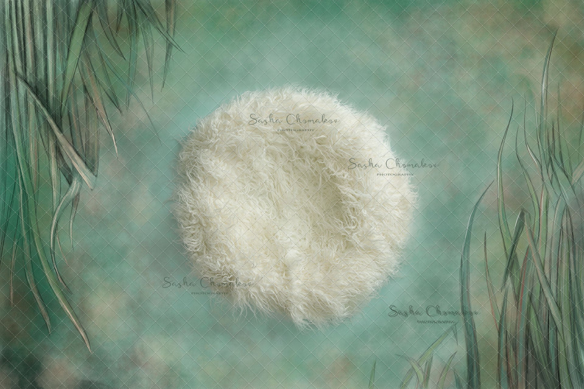 Digital Backdrop