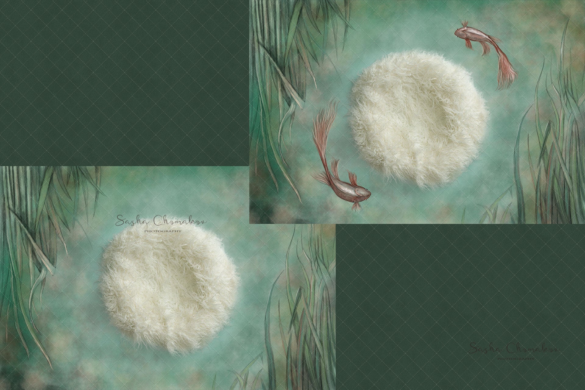 Digital Backdrop