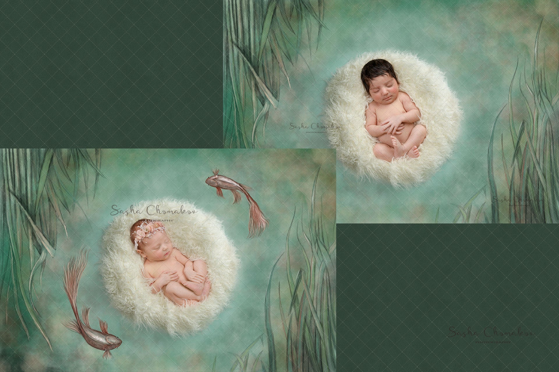 Digital Backdrop
