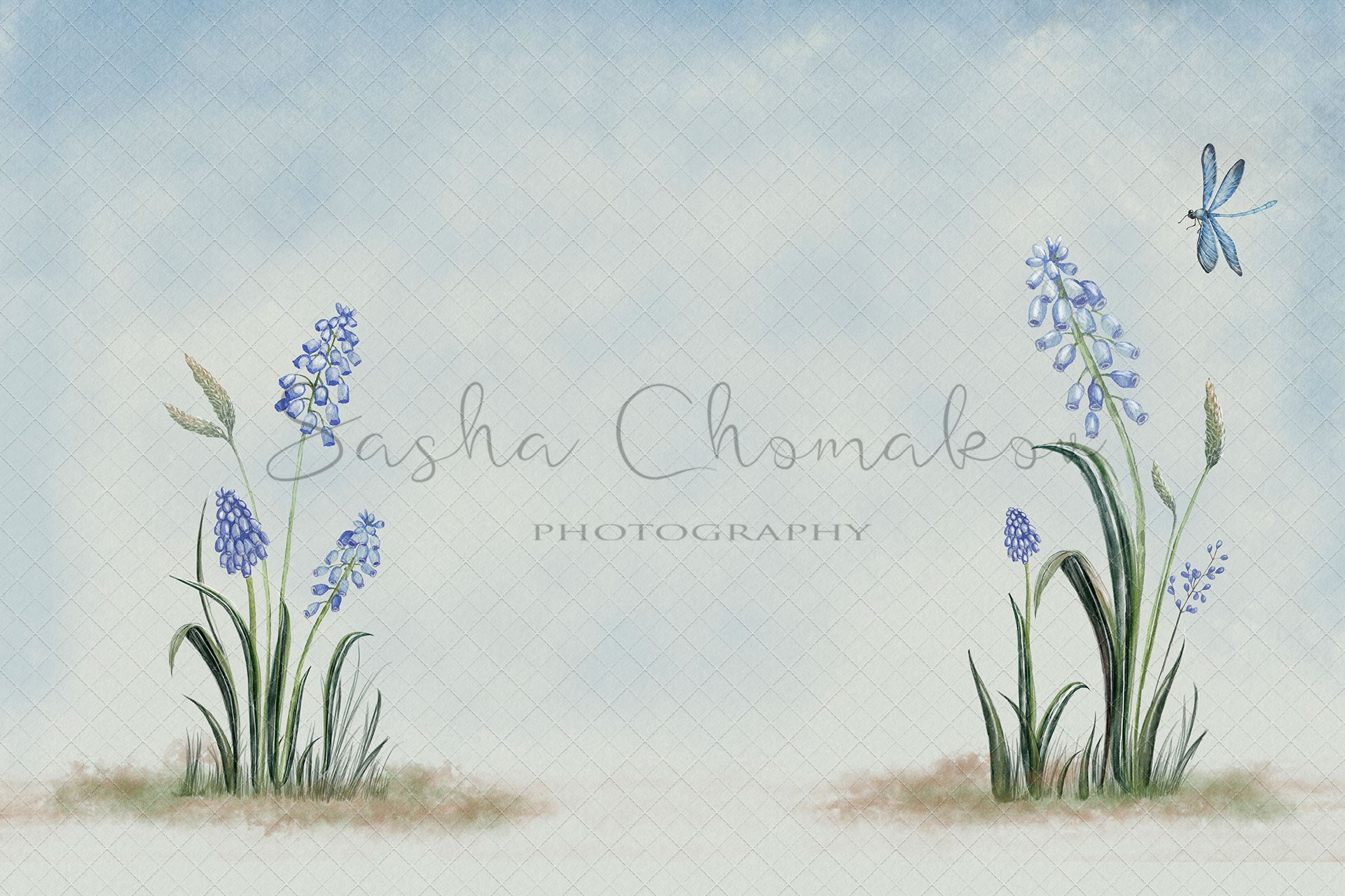 Digital Backdrop
