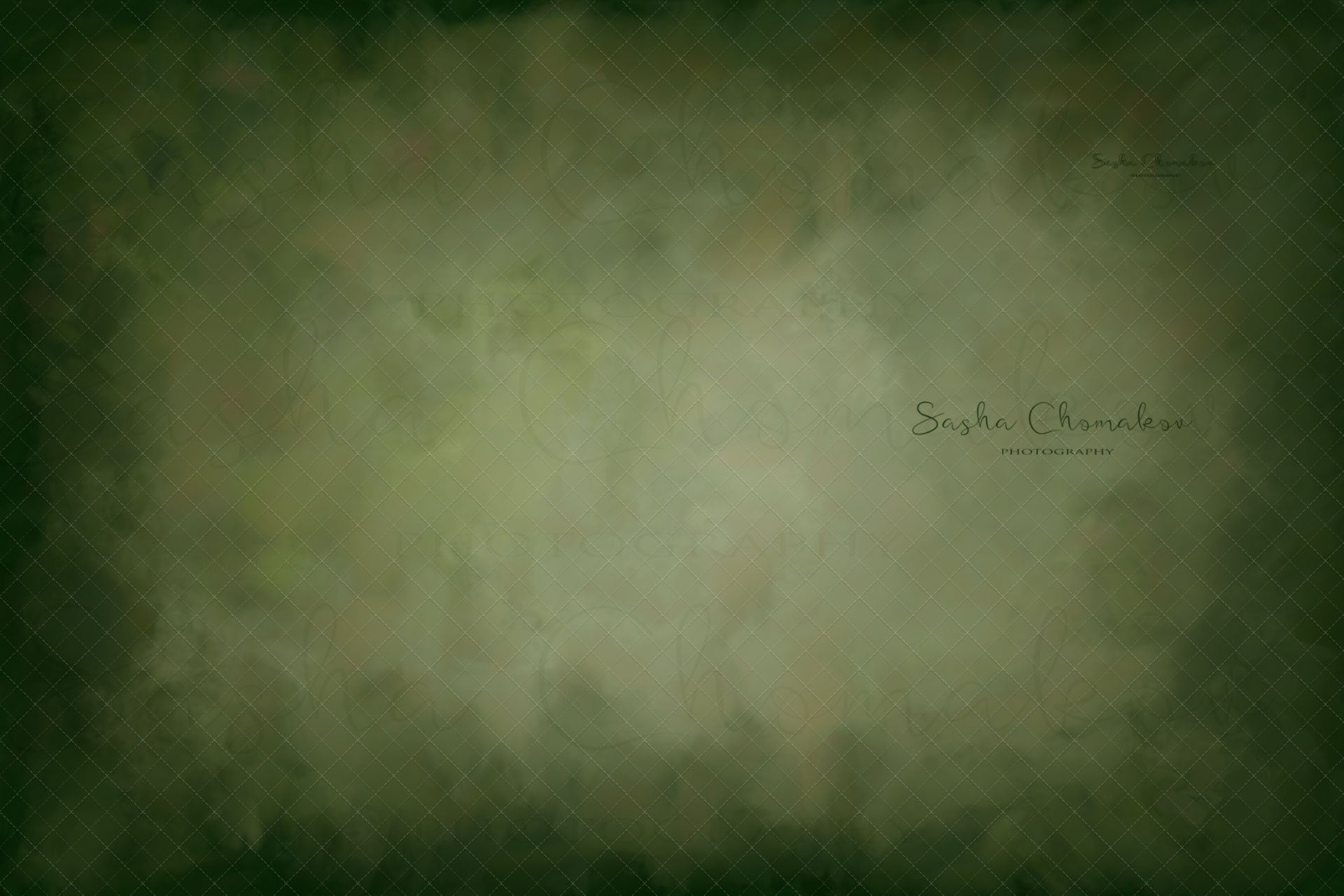 Hand Painted Digital Backdrop