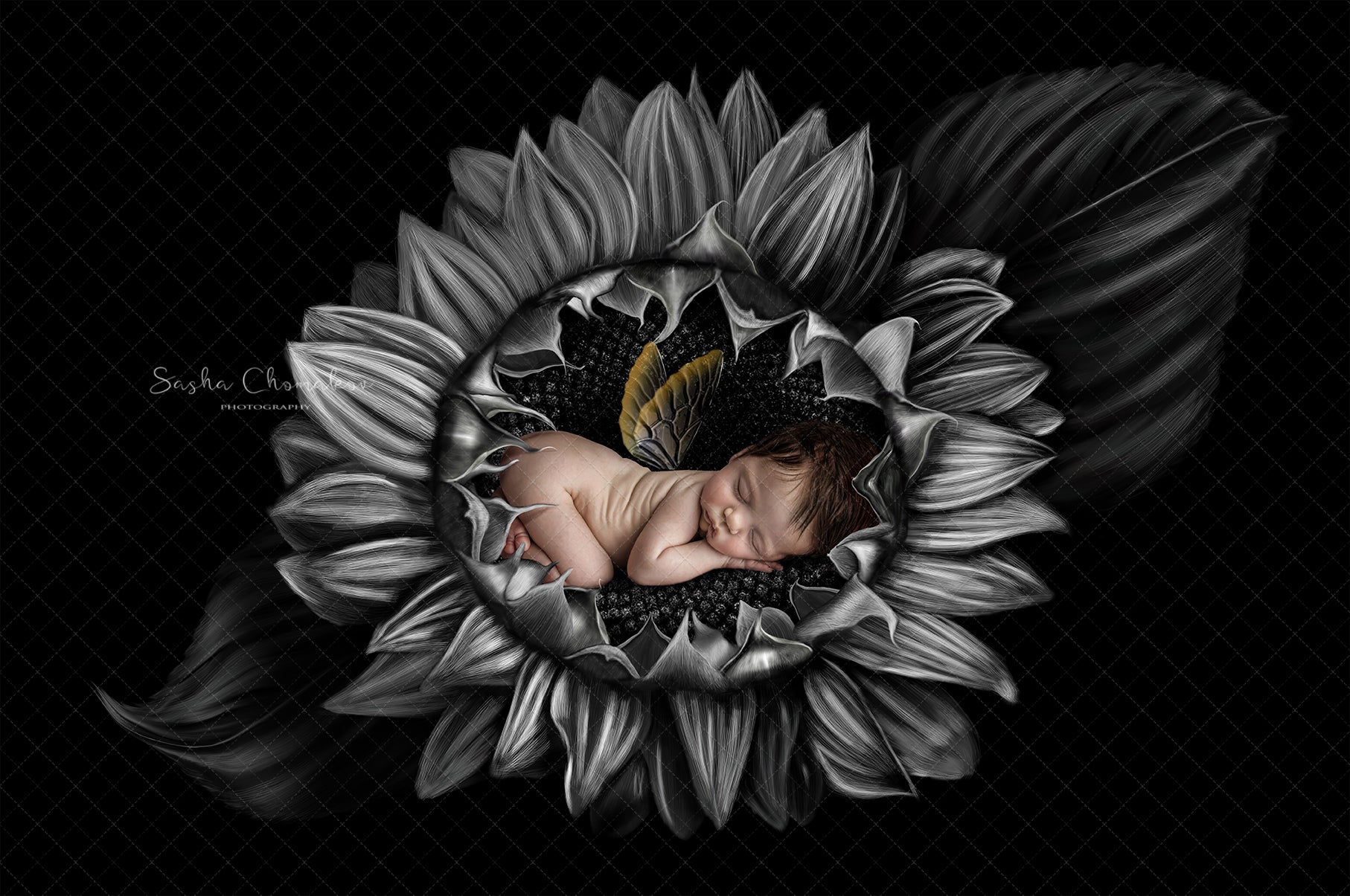 Digital Backdrop