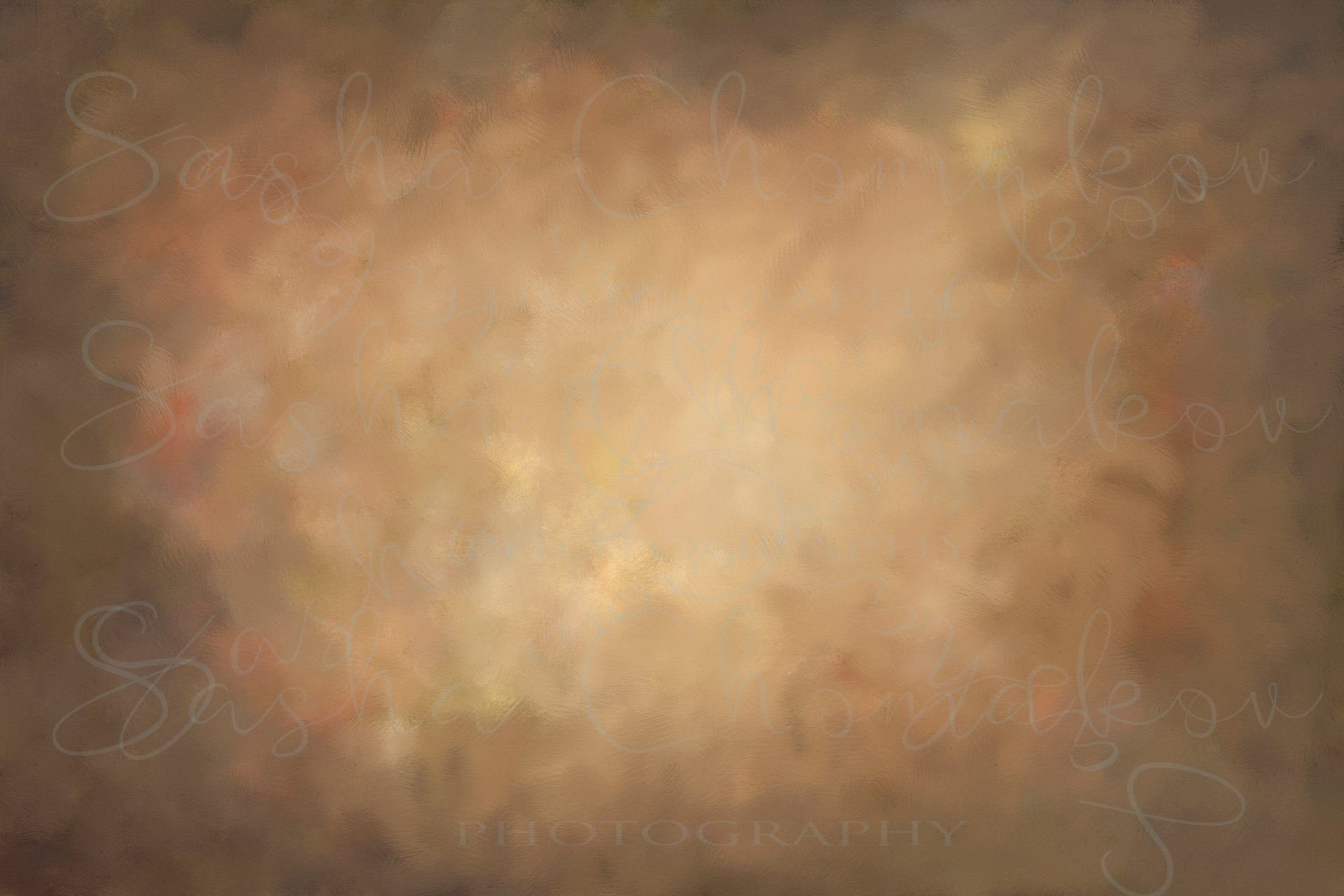 Hand Painted Digital Backdrops