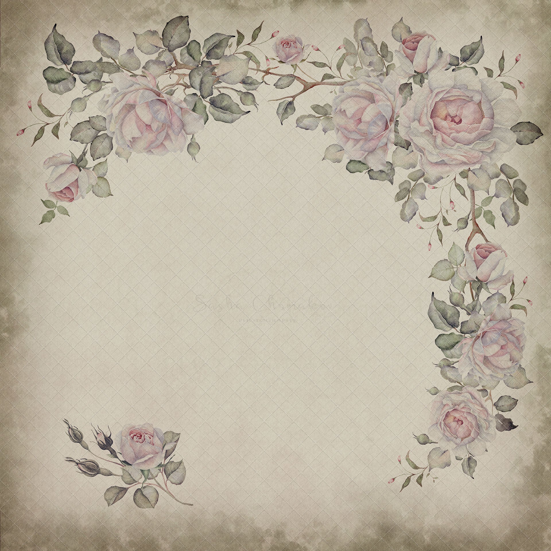 Digital Backdrop