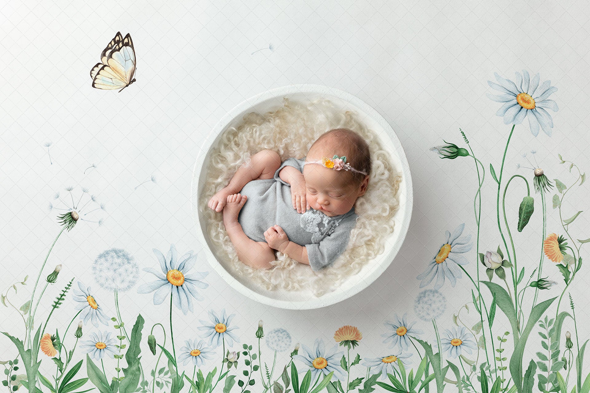 Digital Backdrop