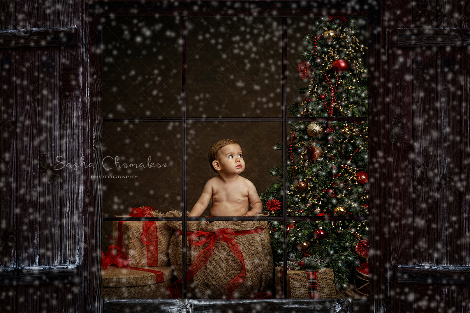 Digital Backdrop