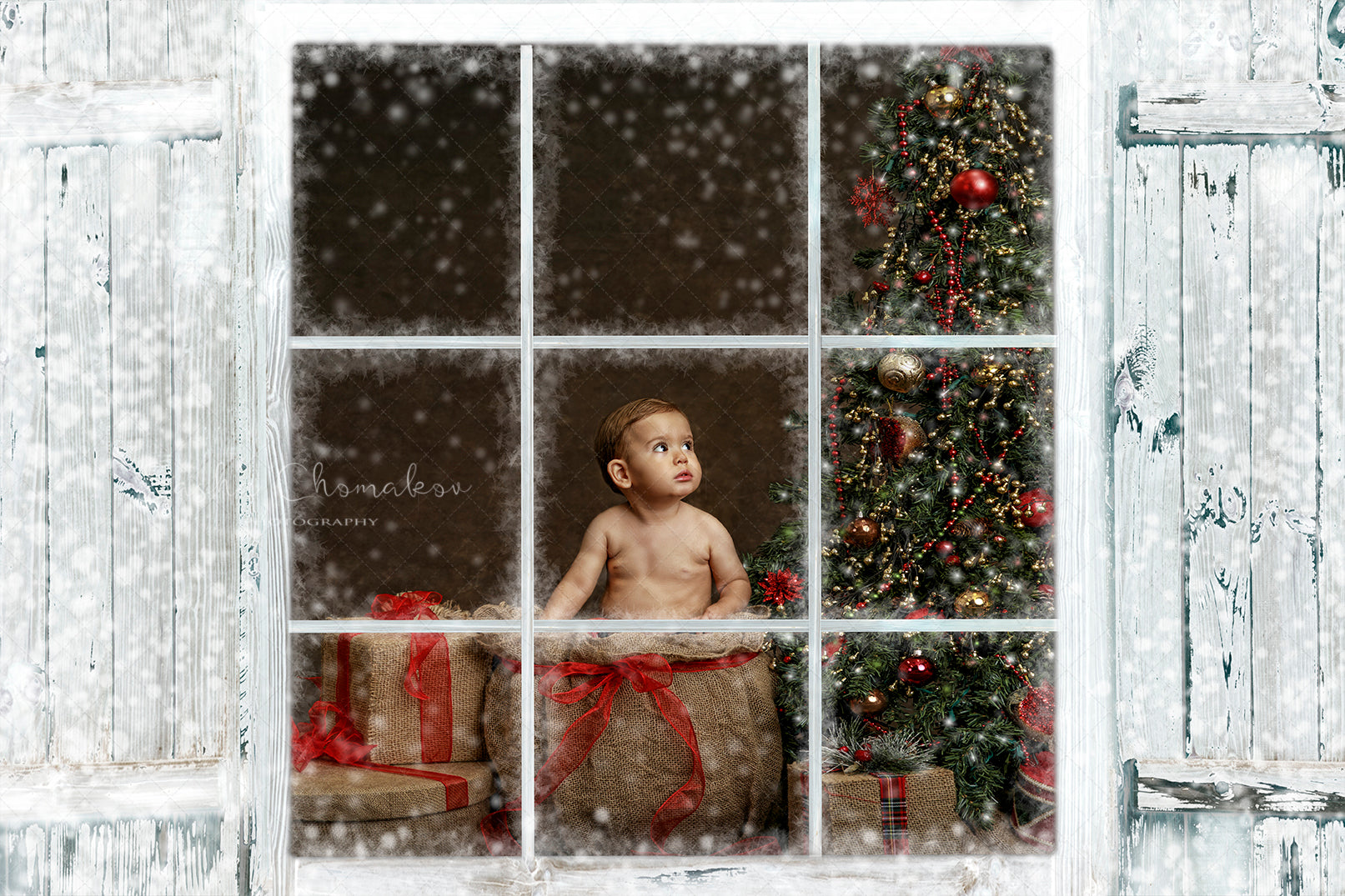Digital Backdrop