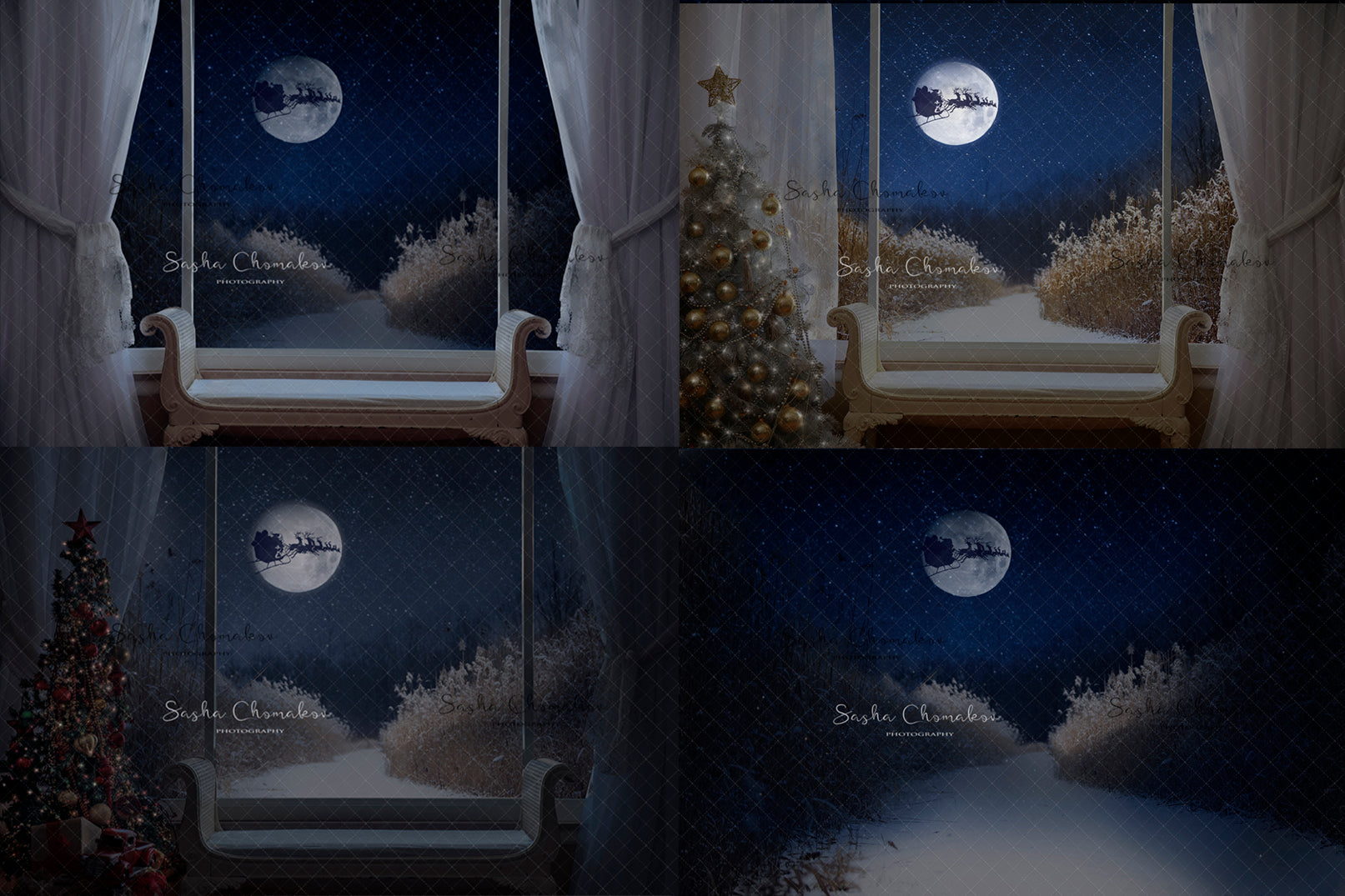 Digital Backdrop