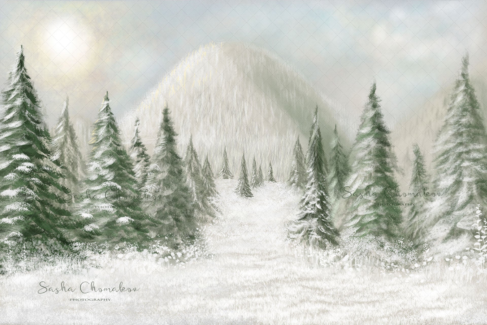 Digital Backdrop