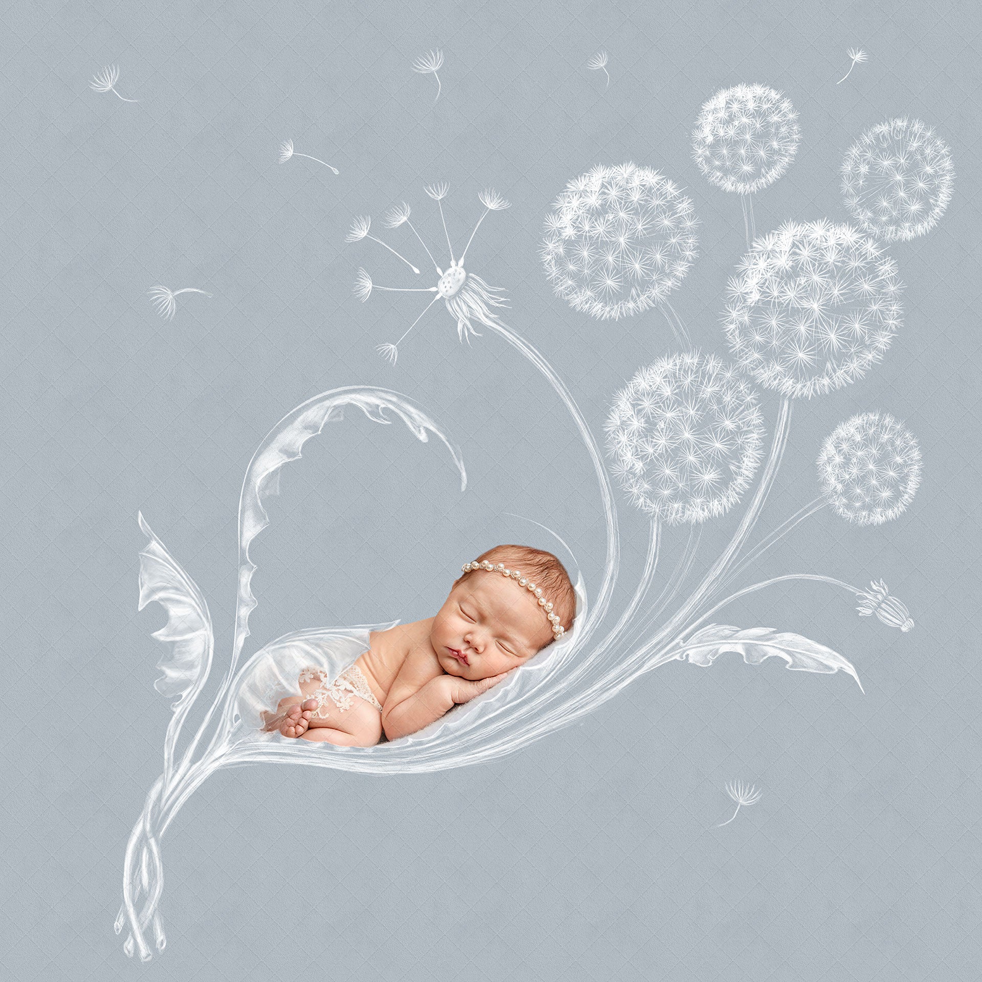 Digital Backdrop