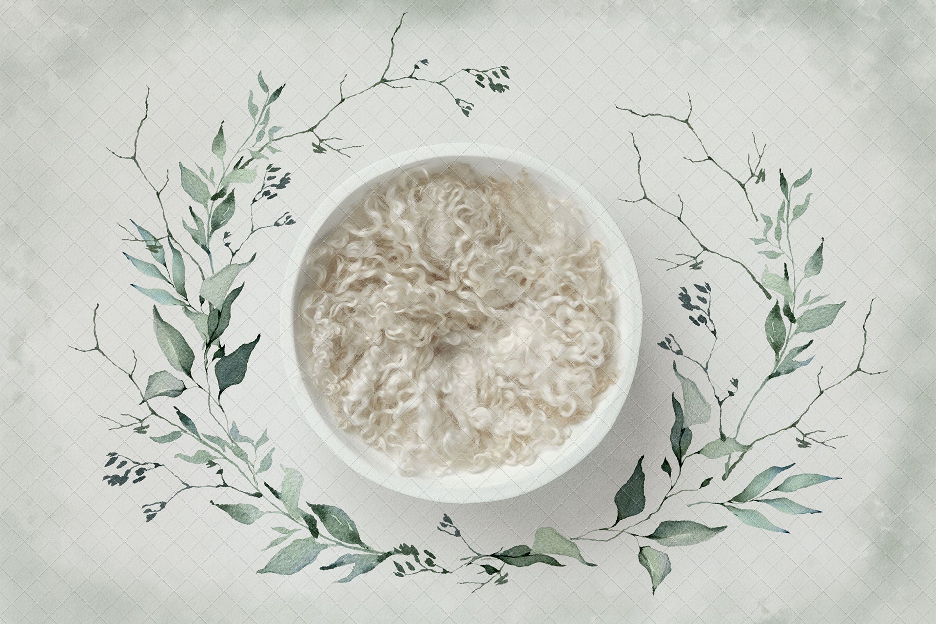 Digital Backdrop