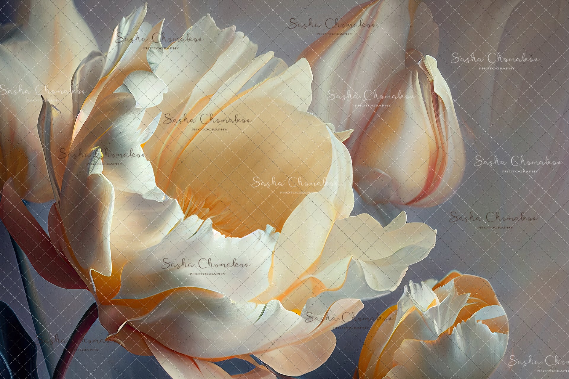 Digital Backdrop Ai generated