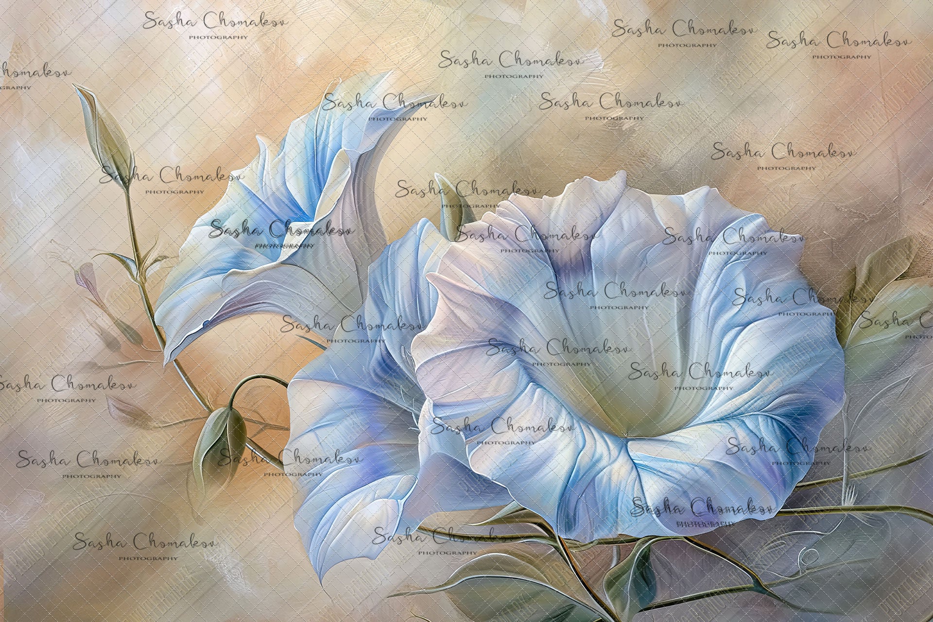 Digital  background Painted Morning Glory  Ai generated