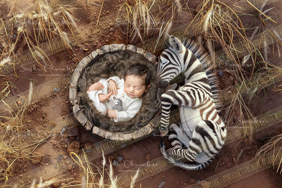 Digital  background overhead zoo wild animals Ai generated zebra