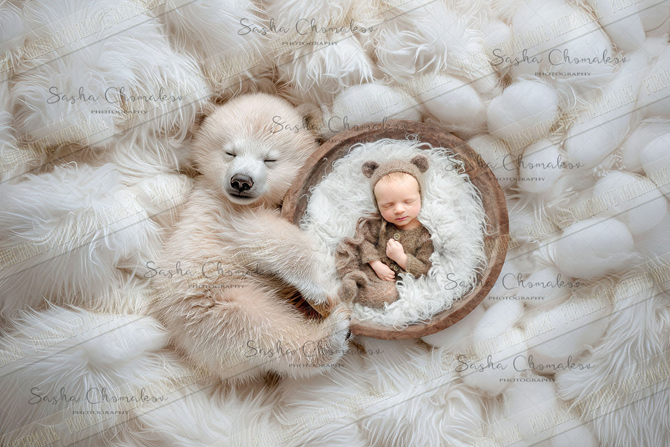 Digital  background overhead zoo wild animals on fur background Ai generated  white bear