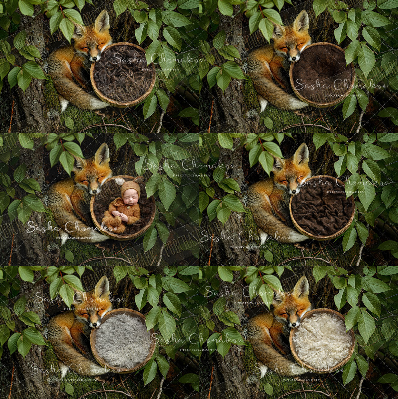 Digital  background overhead zoo wild animals Ai generated fox