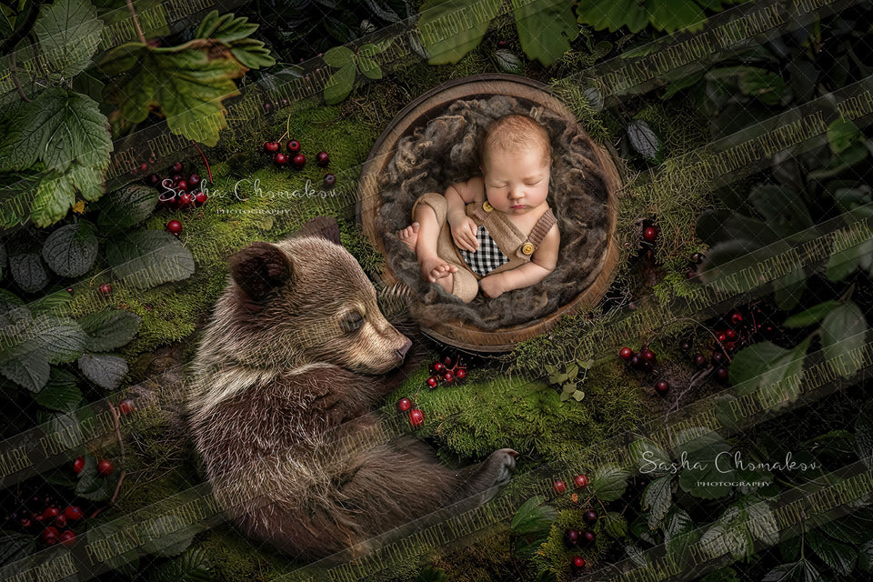 Digital  background overhead zoo wild animals Ai generated bear