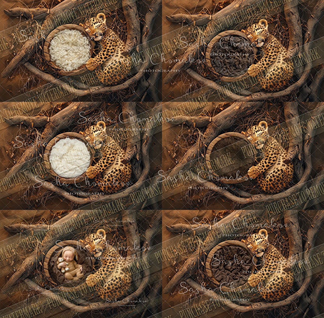 Digital  background overhead zoo wild animals Ai generated