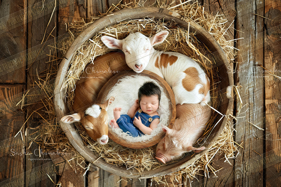 Copy of Digital  background  farm animals baby highland goat pig